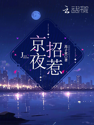 《京夜招惹》